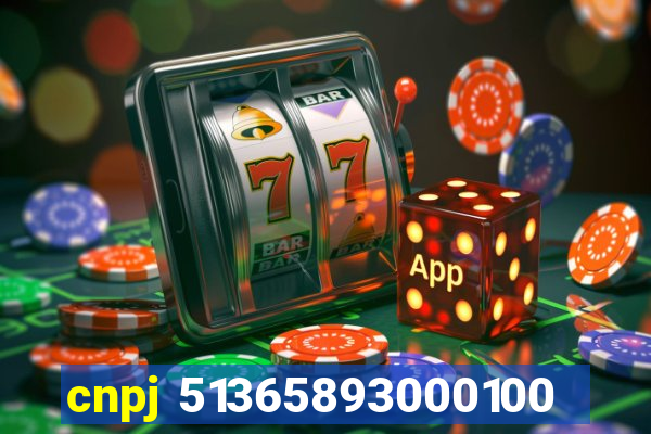 cnpj 51365893000100